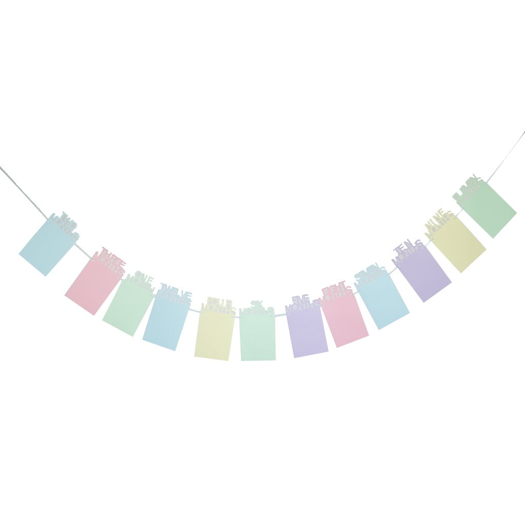 Phenovo Lovely Baby Kids 12 Months Hanging Photo Decoration Kit