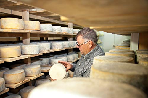 Pager Käse OTOCAN min 300g - halbharter Schafskäse Mischkäse aus Dalmatien mit Meersalz aus der Saline von Pag – Bild 7