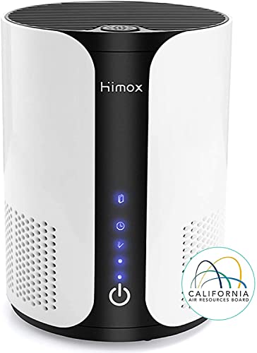 HIMOX HEPA AIR PURIFIERS FOR BEDROOM ALLERGIES PET HAIR, H13 TRUE HEPA FILTER ACTIVATED CARBON QUIET PORTABLE AIR CLEANER FOR DESK DESKTOP OFFICE DORM, REMOVE 99.97% SMOKE DUST DANDER ODOR MOLD POLLEN