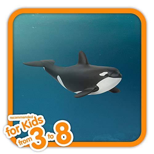 schleich 14836 Orka Junges, für Kinder ab 3+ Jahren, WILD LIFE - Spielfigur, Black – Bild 2