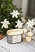 Chesapeake Bay Candle Double Wick Scented Candle, White Gardenia, Oval Tin