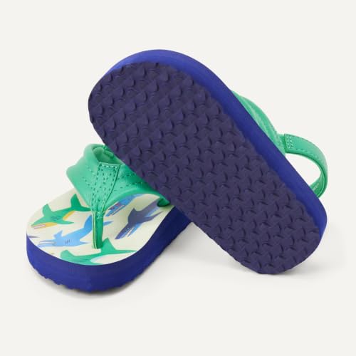 Amazon Essentials Unisex Kids Flip Flops with Back Strap