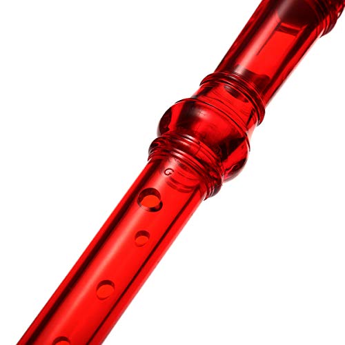 3 KINGSO+Recorder+Cleaning+Instrument+transparent