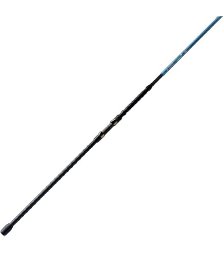Amazon.com : St. Croix Rods Legend Surf Casting Rod : Sports & Outdoors Amazon.com : St. Croix Rods Legend Surf Casting Rod : Sports & Outdoors