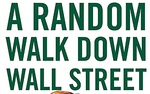 A Random Walk Down Wall Street: The Time-Tested Strategy for Successful Investing - Image 5