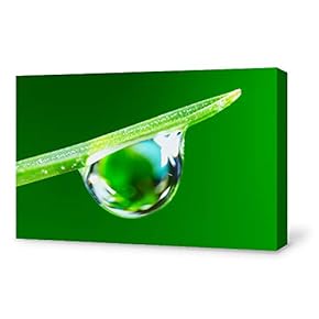 Canvas Wall Art for Living Room,Bedroom Home Artwork Paintings Life Theme Ready to Hang - 12x18 inches