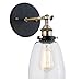 Light Society Camberly Wall Sconce, Clear Glass Shade with Antique Brass Finish, Vintage Modern Industrial Farmhouse Lighting Fixture (LS-W130)