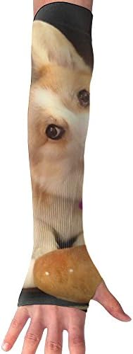 Drumsticks Corgi Long Sleeve Sun Protection Arm Sleeves Arm Cooling Sleeve Cycling Outdoor Sports Leisure