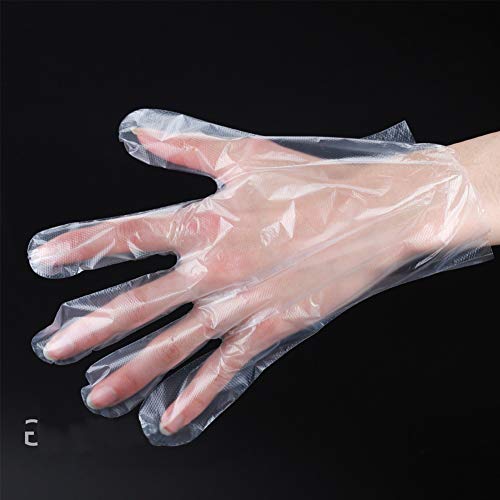 WeTest 500 Piece Disposable Food Prep Gloves Clear Plastic Gloves for Kitchen Cooking,Cleaning,Food Handling,One Size Fits All