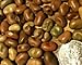 David's Garden Seeds Bean Fava Sweet Lorane (Brown) 50 Organic Seeds