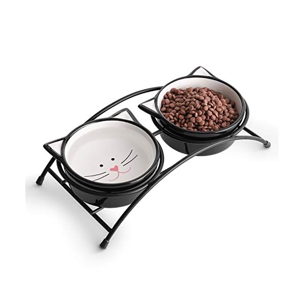 Y YHY Cat Bowls Elevated,Raised Cat Bowls for Food and Water,Ceramic