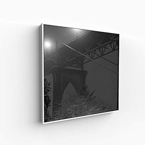 Canvas Wall Art for Living Room, Bedroom Silence Framed Canvas Prints for Home Decoration Ready to Hang - 16x16 inches