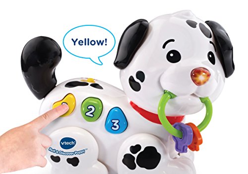 VTech Roll & Discover Puppy - //medicalbooks.filipinodoctors.org