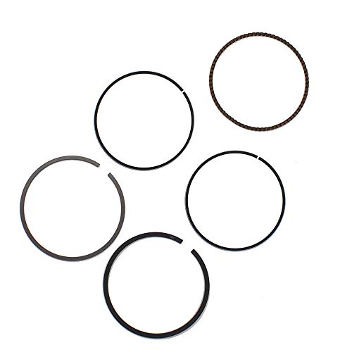 Piston Rings Fit For Honda Fourtrax 300 & TRX300EX Sportrax Standard Bore 74mm