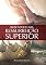 Livro Buscando uma Ressurreição Superior