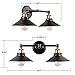 Linea di Liara Andante 2 Light Bathroom Vanity Light Industrial Gold and Matte Black Light Fixtures Above Mirror Light Farmhouse Vanity Lights for Bathroom Lighting, Bulb Included