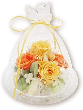 プリザーブドフラワー ガラスドーム 誕生日 母の日 バラ 結婚記念日 女性 妻 彼女 出産 お祝い クリスマス プレゼント 開店 開業