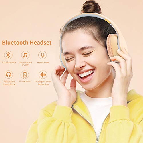 Lobkin Over The Ear Wireless Headphone with Microphone, Hi-Fi Stereo Noice Reduce Earphones for Class, Home Office, Game/TV/PC/Phone Comfortable Foldable Bluetooth Headphones