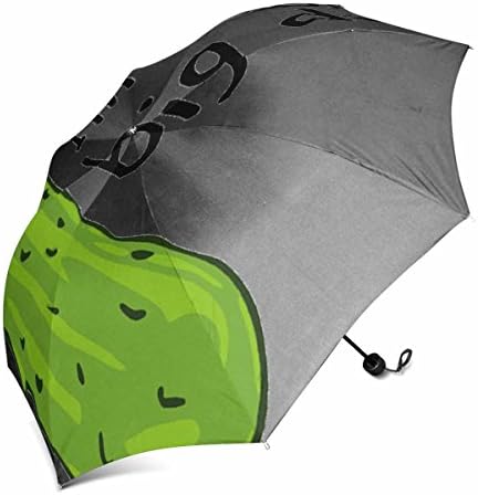 dingshanlong Unique Custom Auto Open Foldable Umbrella Windproof Polyester Travel Umbrella
