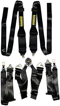 Schroth Racing 6 Point Camlock Racing Harness - Profi 2 GT3 for HANS Devices - Bolt-In Pull Down Lap Harness - Black