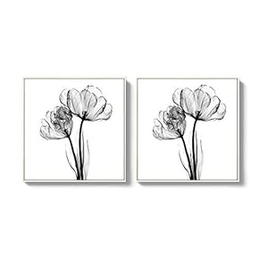 2 Piece Framed Canvas Wall Art for Living Room, Bedroom Transparent Flower Canvas Prints for Home Decoration Ready to Hang - 16"x16"x2 Panels