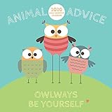 2020 Animal Advice Daily Desktop Calendar by 