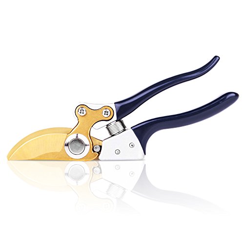 #1 Premium Bypass Pruning Shears ✠ The Toughest Garden Pruner For Trees, Hedges, Shrubs and Roses ✠ Blade Remains Sharp For Longer ✠ Hand Friendly Ergonomic Vinyl Handles For Effortless Cuts - Image 7