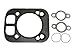 Kohler 32-841-02-S Lawn & Garden Equipment Engine Cylinder Head Gasket Kit Genuine Original Equipment Manufacturer (OEM) Part primary