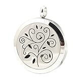 Aromatherapy Essential Oil Diffuser Locket Pendant with Free 24” Chain Necklace and 8 Felt Pads by Jenia
