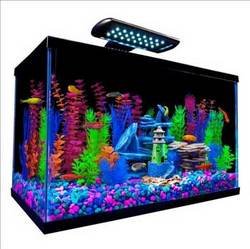 Perfecto manufacturing apfnv33121 tetra goldfish starte…