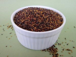 Taylor's Mix contains: red cabbage, triton radish, Rambo Radish, broccoli, Fenugreek and kale non-GMO certified organic sprouting seeds 1lb (price includes shipping)