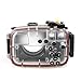 Sea Frogs 130ft/40m Underwater Camera Housing Waterproof Case for Sony A6000 Can Be Used With 16-50mm Lens (Housing + Red Filter)