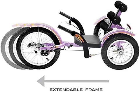 developmental youth trike