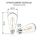 HyperSelect LED Edison Bulb 30W Equivalent - ST64 LED Filament Bulb 3W, Non-Dimmable, 2700K (Warm White), E26 Base, UL - Pack of 6