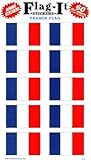 France flag stickers for home or school