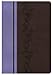 KJV Rainbow Study Bible, Brown/Lavender LeatherTouch, Indexed