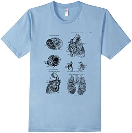 Men's Human Anatomy Art Tee T-shirt Chambers of the Heart  2XL Baby Blue