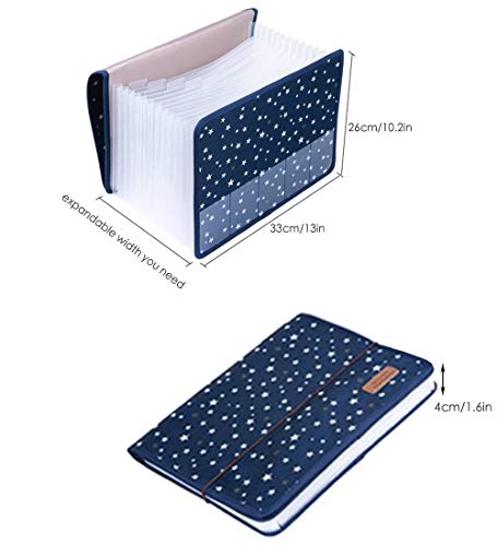 Expanding Files Folder with Cover, 13 Pockets Accordion A4 Documents File Bill Letter Organiser, Plastic Portable Filling Storage with Big Capacity Expandable Wallet Stand