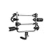 Kuat Transfer 2 Bike Hitch Rack - 1.25
