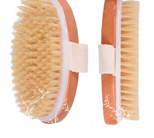Dry Bath Body Brush Back Scrubber, Improves Skin\'s Health, 100% Natural Bristles Body Massager, Perfect for Exfoliating, Detox and Cellulite, Blood Circulation, Good for Health and Beauty