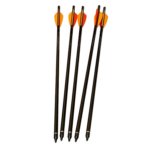 Crossbows 20Inch Carbon Shaft Arrows with Field Points (5 Pack