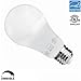 2-PACK 11W Dimmable LED A19 Bulb, 75W Incandescent Equivalent ENERGY STAR UL-listed Omnidirectional A19 Light Bulb, E26 Base 1100lm Coo White 5000K Daylight, 300 Degree Beam Angle for General Lighting