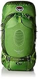 Osprey Men's Atmos AG 65 Backpack, Absinthe Green, Medium