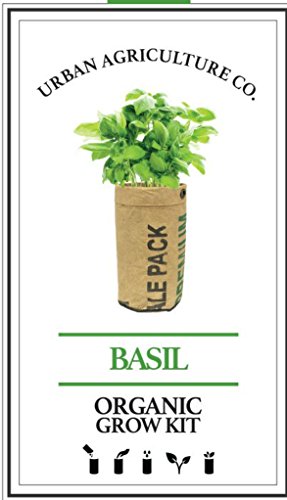 Urban Agriculture Herb Garden - Basil