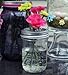 Mason Jar with Frog Lid Insert Regular Mouth 16 Oz Bundle (clear jar silver band)