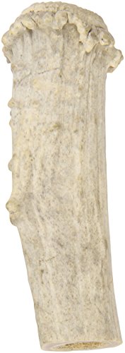 QT Dog All Natural Chew Toy, Large