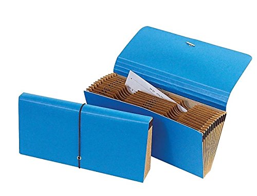 1IntheOffice Cancelled Check File,Blue