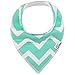 10-Pack Baby Bandana Drool Bibs for Drooling and Teething, 100% Organic Cotton, Soft and Absorbent, Hypoallergenic Unisex Bibs for Baby Boys & Girls - Baby Shower Gift Set by Ana Baby