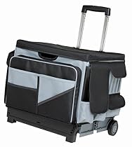 ECR4Kids MemoryStor Universal Rolling Cart and Organizer Bag Set