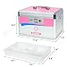 Decaller Medical Box with Lock, Medicine Case with Removable Tray & Handle & Shoulder Strap, 12